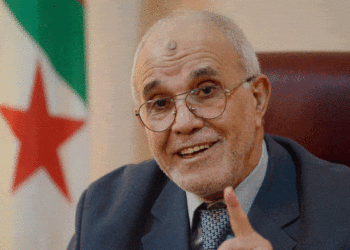 شرفي: جاهزون لإجراء الاستفتاء