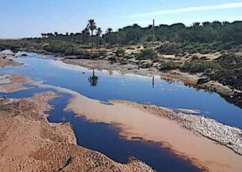 وزارة البيئة تطالب سوناطراك بتنفيذ التدابير الضرورية لإزالة التلوث
