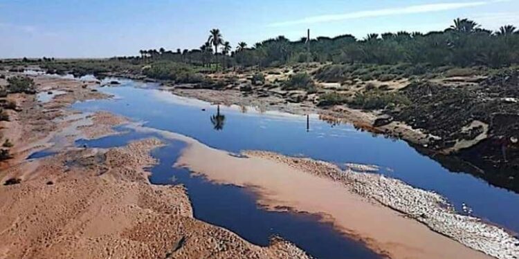 وزارة البيئة تطالب سوناطراك بتنفيذ التدابير الضرورية لإزالة التلوث