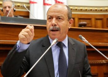 زغماتي: الجيش يخرج من أجل السلم.. والسيادة ملك للشعب
