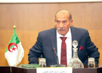 فنيش : البرلمان سيضمن رقابة كاملة على الحكومة في الدستور القادم وفقا لعدالة مستقلة