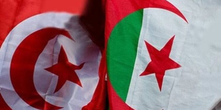 تونس تعين سفيرا جديدا لها بالجزائر وقنصلا بعنابة