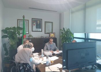 رزيق يشارك في اجتماع المجلس الاقتصادي للجامعة العربية