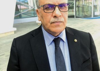 عضو المجلس الدستوري لـ«الشعب أونلاين»: وثيقة الدستور ستعالج الاختلالات التي أدت إلى الأزمة
