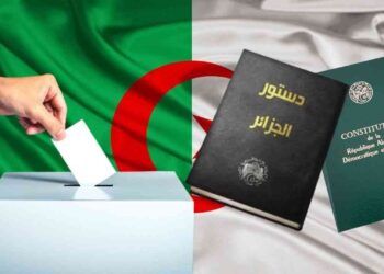 أنقرة تعلن عن مواعيد الاستفتاء للجالية الجزائرية