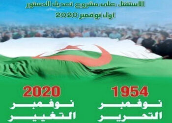 اليوم 11 من الحملة الاستفتائية