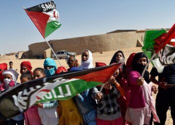“الإيكوكو” تتضامن مع المتظاهرين السلميين في الكركرات الصحراوية