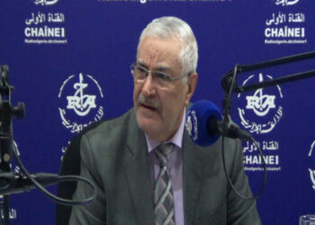 مستشار وزير الاتصال: مشروع الدستور جعل الحريات من الثوابت المقدسة