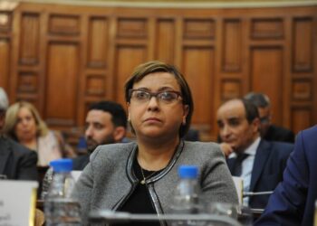 كريكو: الدستور المعدل سيعزز مكانة المرأة الجزائرية