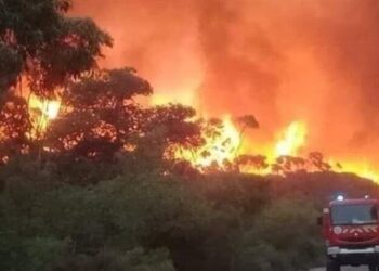 وكيل الجمهورية لشرشال: الحرائق مفتعلة وتم الكشف عن هوية المتورطين