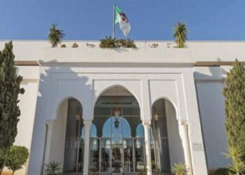 وزارة الثقافة تنفي إختفاء لوحات بابلو بيكاسو