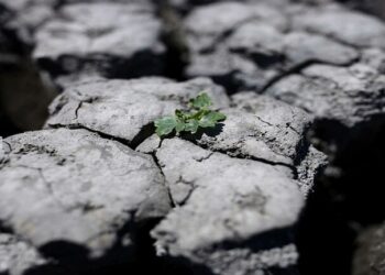 علماء يحذرون من خطر تحرر كربون التربة