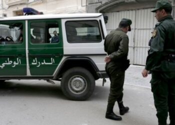 توقيف 5 أشخاص متورطين في حيازة ذخيرة حية بباتنة