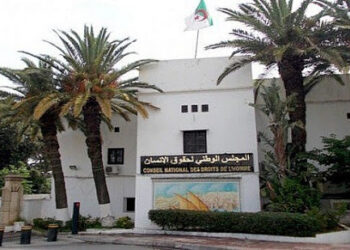 الدستور الجديد كرّس حماية المرأة