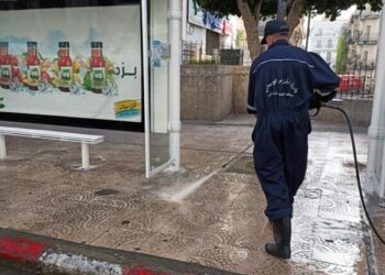 بلدية الجزائر الوسطى تشرع في حملة تحسيسية حول فيروس كورونا