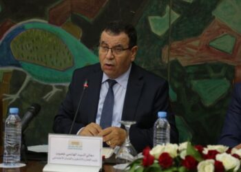 وزير العمل يجدّد التزامه بعصرنة القطاع