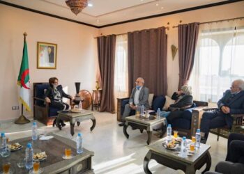 بن دودة تشدد على ضرورة دعم الشباب ومرافقتهم في مشاريعهم السينمائية