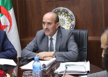 بلجود يكشف عن أزيد من 25 ألف جزائري ينتظرون إجلاءهم