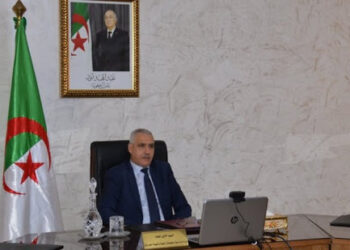 وزارة الداخلية: شراكة عالمية شاملة لمواجهة آثار كورونا