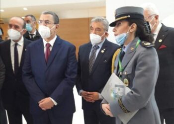 الوزير الأول يشدد على رقمنة قطاع الجمارك
