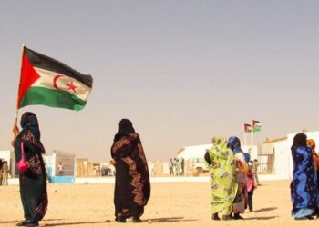 حزب الخضر السويدي يطالب الحكومة بـ” الاعتراف بالصحراء الغربية كدولة”