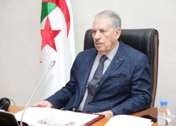 مجلس الأمة يثمّن المقاربة التشاورية لمشروع قانون الانتخابات