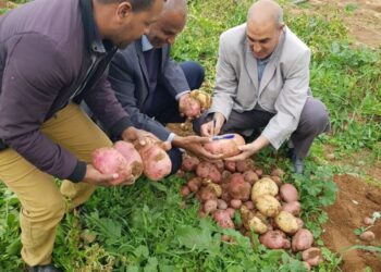 مشاريع فلاحية تعزز منطقة صحراوية