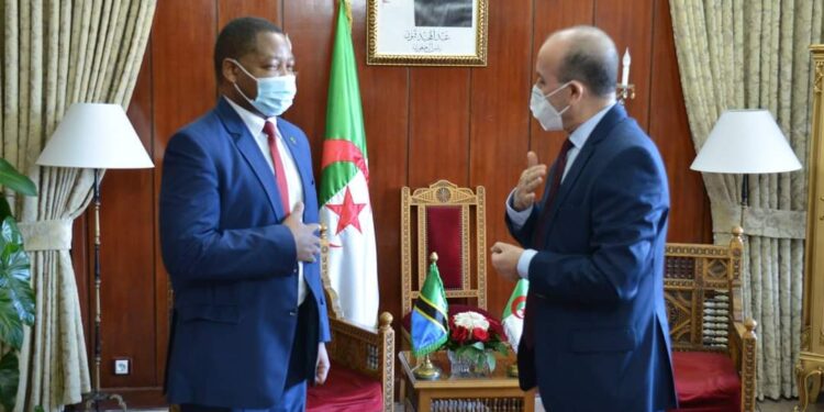 بلجود يبحث مع السفير التنزاني مواجهة التحديات المشتركة بين البلدين