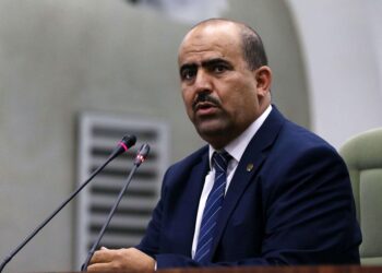 شنين: الجزائر فضلت الابتعاد عن “تسييس” اجراءات مجابهة الوباء