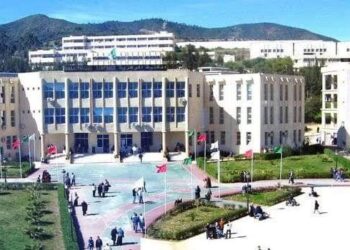 توقيف جامعيين بتهمة ترويج المهلوسات بجامعة سكيكدة