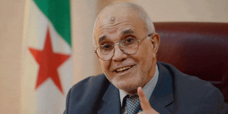 شرفي: القانون الجديد يتيح التحقيق في مصادر تمويل الحملات الانتخابية