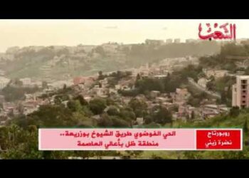 خنازير.. ومشاهد صادمة بمنطقة ظل في قلب العاصمة