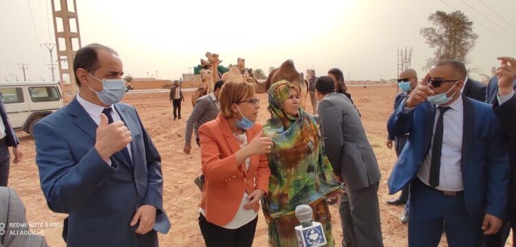 المرأة تروض الإبل بتندوف
