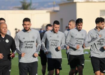 نجوم “الخضر” يغيبون عن مباراة زامبيا