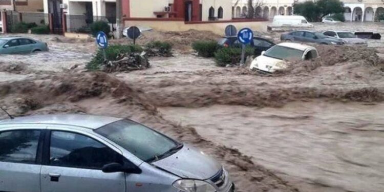 “الجزائريون لايملكون ثقافة التأمين”