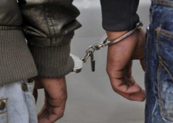 شبكة مختصة في سرقة المنازل بالحروش