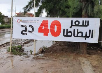 نقاط لبيع البطاطا بــ 40 دج في سكيكدة