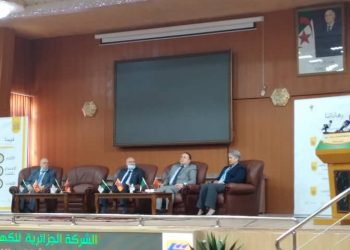 سونلغاز تستعرض الرؤية الإستشرافية آفاق 2035