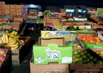 مستغانم تنجح في أول صالون جهوي للتصدير