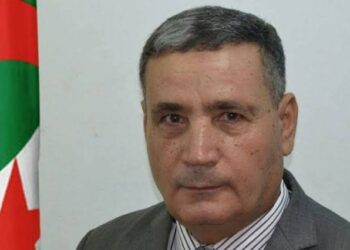 خبير أمني: مخططات “الماك” والحركات الإرهابية ستُضرب بيد من حديد