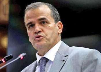 رزيق يتحدّث عن فتح معابر حدودية