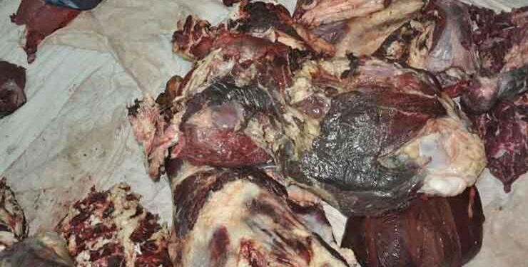 حجز لحوم فاسدة في سيدي بلعباس
