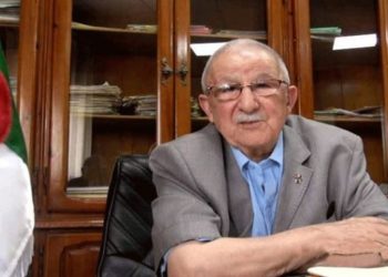موقف منظمة المجاهدين من التشريعيات