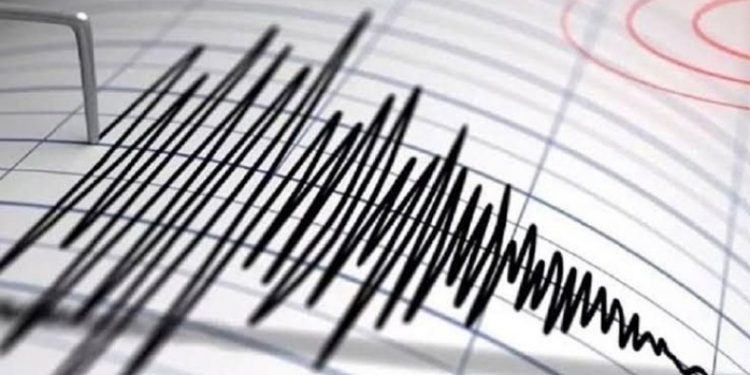 هزتان أرضيتان في البويرة وباتنة