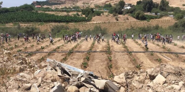 بالفيديو.. لبنانيون يقتحمون الأراضي المحتلة