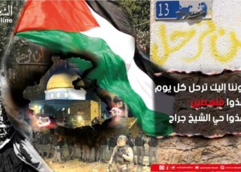 عندما يتضامن بسطاء الجزائر مع الشعب الفلسطيني