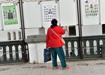زووم على القوائم المستقلة في التشريعيات