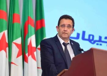 وزير الفلاحة يتحدث عن استئناف استيراد بذور البطاطا