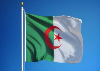 بالفيديو.. القصة الكاملة لمن يستهدفون الجزائر