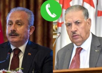 محادثات جزائرية تركية حول هذه القضايا